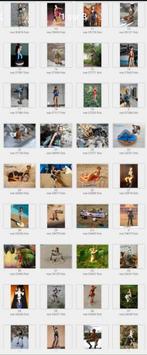 Tomb raider collection édition atlas, Enlèvement