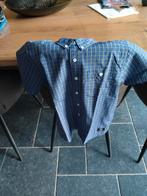Hemdje korte mouwen Dolce Gabbana 10 jaar, Kinderen en Baby's, Kinderkleding | Maat 140, Ophalen, Zo goed als nieuw