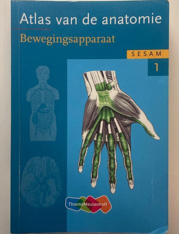 Atlas van de anatomie  beschikbaar voor biedingen
