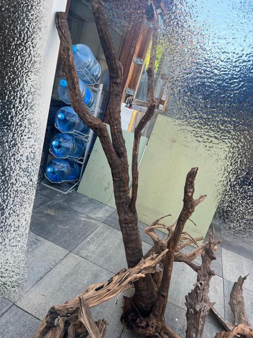 Partij Aquariumhout (+- 10 stukken), Dieren en Toebehoren, Vissen | Aquaria en Toebehoren, Ophalen