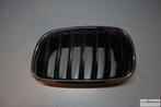 Bumper grille (Nier) origineel Bmw X5 E70, Auto-onderdelen, Gebruikt, -, -, Ophalen of Verzenden