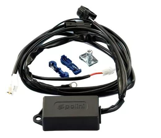 KORTING ECU onbegrensd Polini Piaggio Liberty en zip 50, Motos, Pièces | Autre, Neuf, Enlèvement