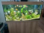 Aquarium Jewel Rio 350 litres, Animaux & Accessoires, Enlèvement ou Envoi, Comme neuf