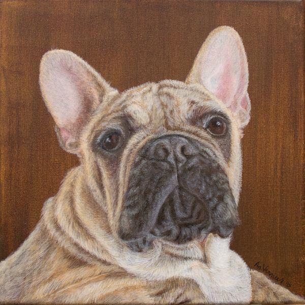 Schilderij Franse Bulldog op canvas, faune, 30 x 30 x 4cm, Antiquités & Art, Art | Peinture | Classique, Enlèvement ou Envoi