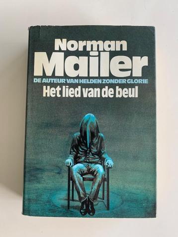 Het lied van de beul, Norman Mailer Hardcover met stofomslag, Enlèvement ou Envoi, Utilisé, Juridique et Droit