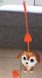 Chien funreal jeux, Enlèvement