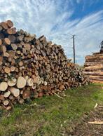 Bois de chauffage 2m-4m et grumes par camion complet, Tuin en Terras, Brandhout, Ophalen, Berkenhout