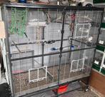 Montana binnen voliere paradisio, Dieren en Toebehoren, Ophalen, Zo goed als nieuw, Aluminium, Vogelkooi