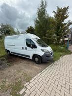 Gratis, Dieren en Toebehoren