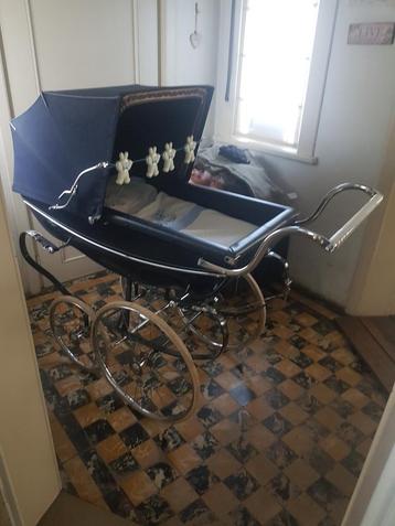 Mooie Wilson beschikbaar voor biedingen