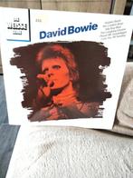 David Bowie, Enlèvement, Utilisé