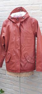 Jas met kap maat s american today 50cm van oksel tot oksel, Kleding | Dames, Jassen | Winter, Overige kleuren, Ophalen of Verzenden