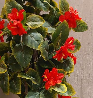 Mooie grote kunstplant  beschikbaar voor biedingen