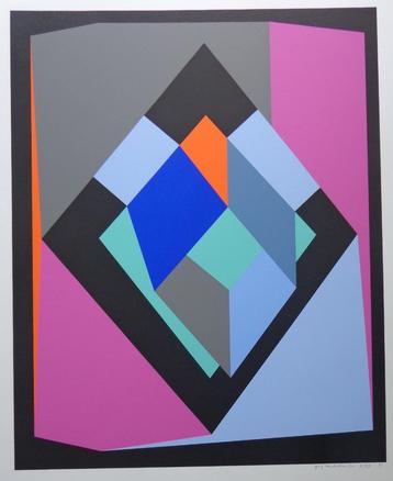GUY VANDENBRANDEN / GEOMETRIE / KLEURZEEFDRUK / 78x56cm SIG beschikbaar voor biedingen