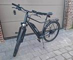 Ebike in perfecte staat Riverside 520E, Fietsen en Brommers, Ophalen