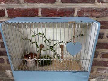 Nestkast, vogelkooi, vogelhuis hout decoratie tuin terras  beschikbaar voor biedingen