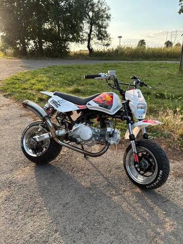 Honda baja monkey beschikbaar voor biedingen