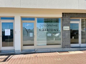 Commercieel te koop in Oostduinkerke beschikbaar voor biedingen