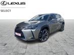 Lexus UX 250h Executive Line, Auto's, Te koop, Zilver of Grijs, Stadsauto, 5 deurs