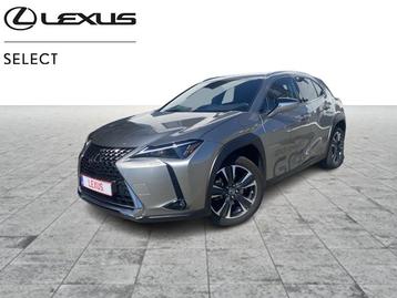 Lexus UX 250h Executive Line  beschikbaar voor biedingen