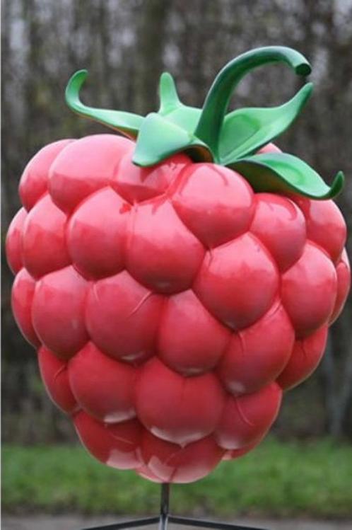 Rasberry Blue of Red 120 cm - braam - bramen, Verzamelen, Merken en Reclamevoorwerpen, Nieuw, Ophalen