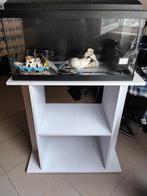Aquarium 60cm Lang, 30 hoog en 30 breed met kast, Dieren en Toebehoren, Ophalen