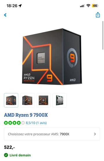 Ryzen 9 7900X beschikbaar voor biedingen