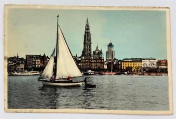 Carte postale ancienne 1950 Antwerp De Rede Artcolor, Enlèvement ou Envoi, 1940 à 1960, Non affranchie, Anvers