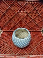 plantpot te koop, Jardin & Terrasse, Bacs à fleurs & Jardinières, Enlèvement, Neuf