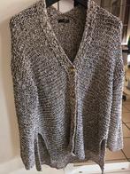Massimo Dutti  vest, Ophalen of Verzenden, Zo goed als nieuw