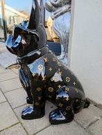 Bouledogue français avec lunettes de soleil, Animaux & Accessoires, Chiens | Bouledogues, Pinschers & Molossoïdes, Particulier