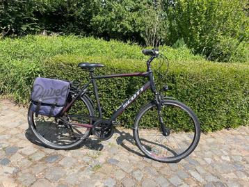 Herenfiets SCOTT 28" maat 60. beschikbaar voor biedingen