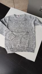 sweater 134-140, Kinderen en Baby's, Kinderkleding | Maat 134, Ophalen of Verzenden, Zo goed als nieuw, Jongen, Trui of Vest