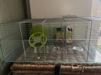 Hamsterkooi met glazen bak L 78cm x B47cm x H 30, Dieren en Toebehoren, Knaagdieren en Konijnen | Hokken en Kooien, Ophalen, Zo goed als nieuw