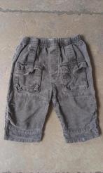 Merk Filou: velvet look broekje mt 62, Enfants & Bébés, Vêtements de bébé | Taille 62, Pantalon, Enlèvement ou Envoi, Filou & Friends