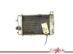 RADIATEUR Aprilia RSV 1000 (R) Mille 1998-2003 (RSV1000), Motoren, Gebruikt