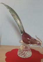 fesan murano, Enlèvement