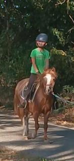 2 A pony's, Dieren en Toebehoren, Merrie, B, A pony (tot 1.17m), 11 jaar of ouder