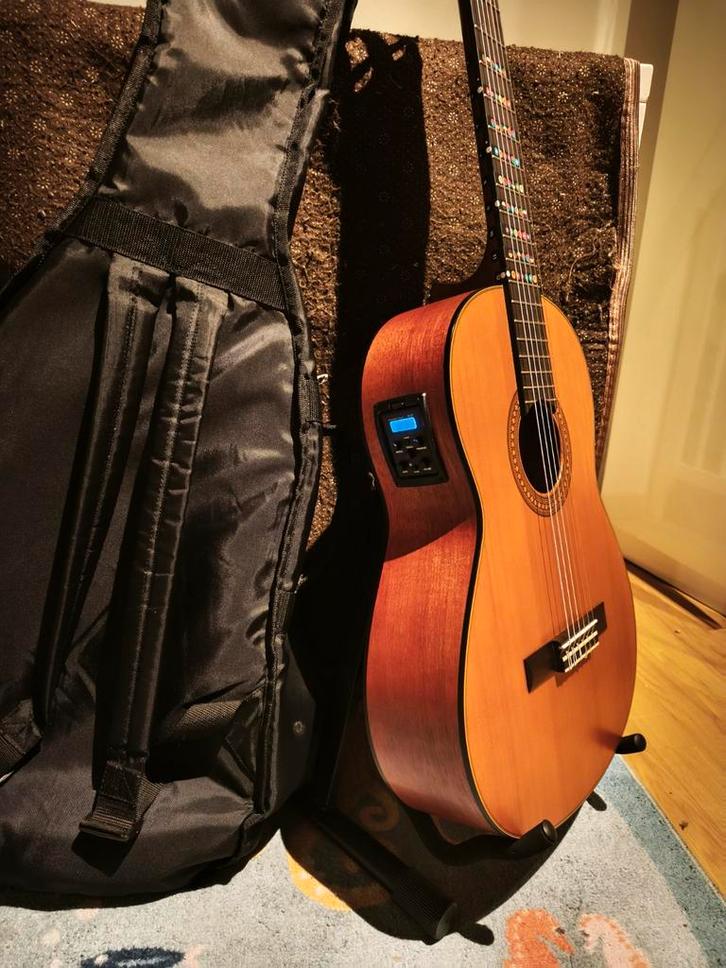 Guitare Électro-classic Yamaha/S.cortez/Alhambra, Musique & Instruments, Instruments à corde | Guitares | Acoustiques