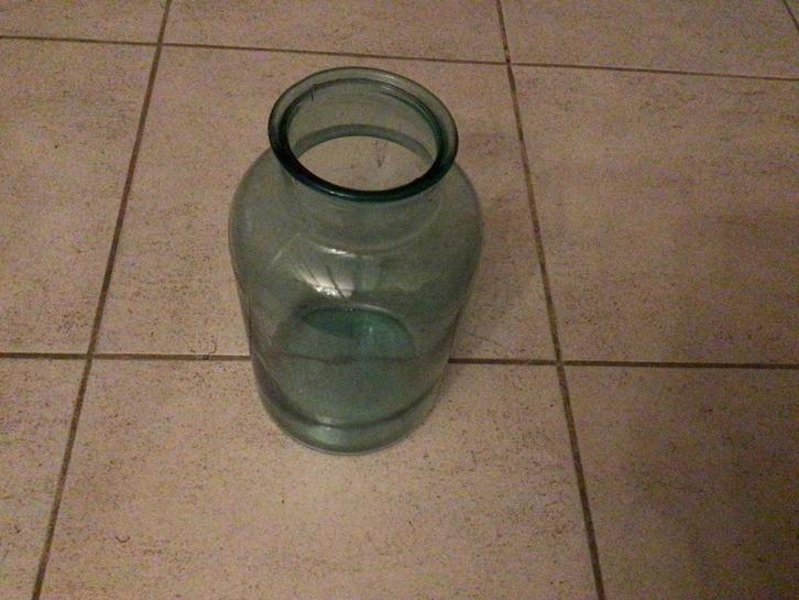 Terrarium planten opkweek pot, Tuin en Terras, Planten | Tuinplanten, Ophalen of Verzenden