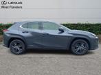 Lexus UX 250h Business Line+cam+nav+Sens V&A, Automaat, Overige brandstoffen, 184 pk, 5 deurs