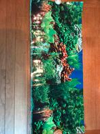 Achtergrond aquarium, Dieren en Toebehoren, Ophalen of Verzenden