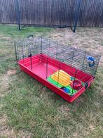 Hok voor konijn, cavia, hamster,…, Dieren en Toebehoren, Knaagdieren en Konijnen | Hokken en Kooien, Ophalen, Hok, Cavia
