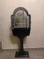 Vogelhuisje, Dieren en Toebehoren, Ophalen