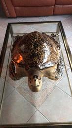 Opgezette schildpad (replica), Dieren en Toebehoren, Reptielen en Amfibieën