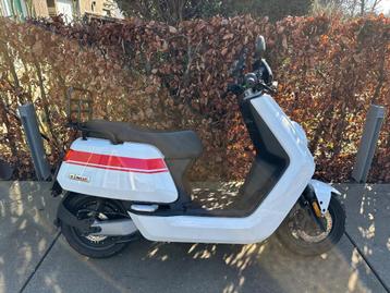 Twee NIU electrische scooters NGT beschikbaar voor biedingen