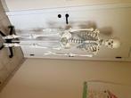 Anatomie skelet, medisch model op staander, Diversen, Schoolbenodigdheden, Ophalen, Zo goed als nieuw