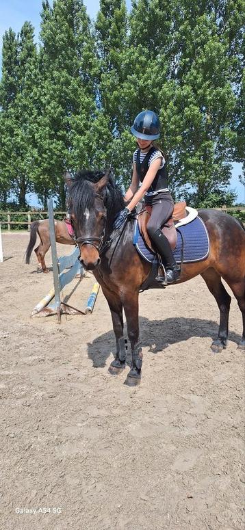 Le poney, 5 ans