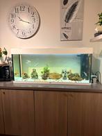 Te koop: Mooi Juwel Aquarium 200L, Dieren en Toebehoren, Ophalen, Zo goed als nieuw, Leeg aquarium