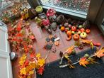 Decoratie voor herfst, Huis en Inrichting, Ophalen of Verzenden, Zo goed als nieuw